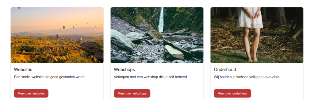 Drie cards naast elkaar op de website, Websites, Webshops en Onderhoud, elk met een foto, een korte tekst en een rode knop