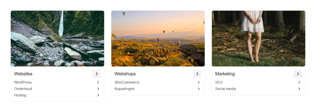 Drie categorietegels op de website, Websites, Webshops en Marketing, elk met een foto, de naam en daaronder links naar subcategorieën