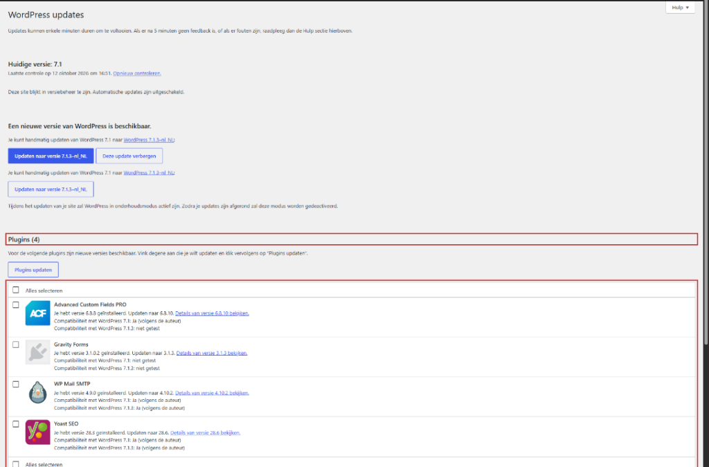 Het scherm Dashboard, Updates met de lijst van beschikbare updates voor WordPress, plugins en thema's gemarkeerd