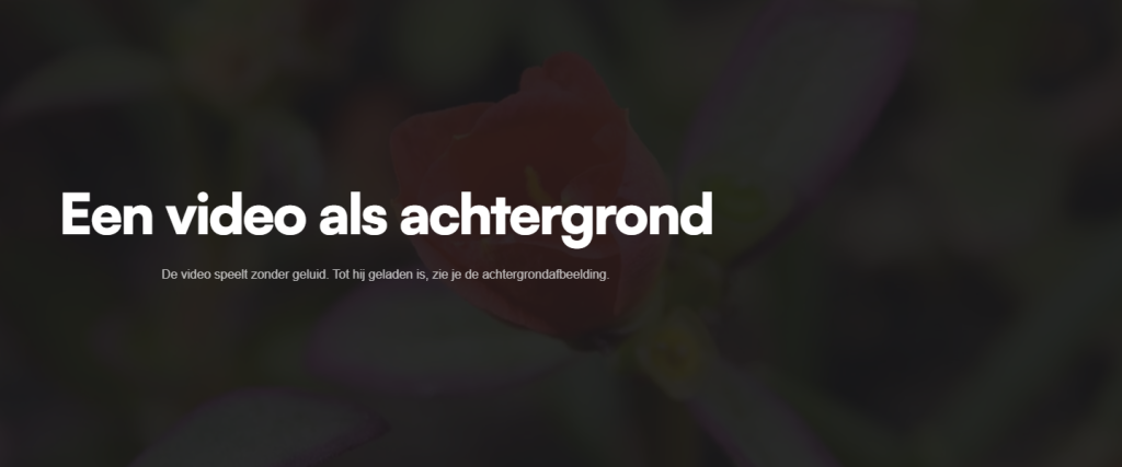 Een sectie met een donker, wazig beeld van een bloem als achtergrondvideo met witte tekst ervoor