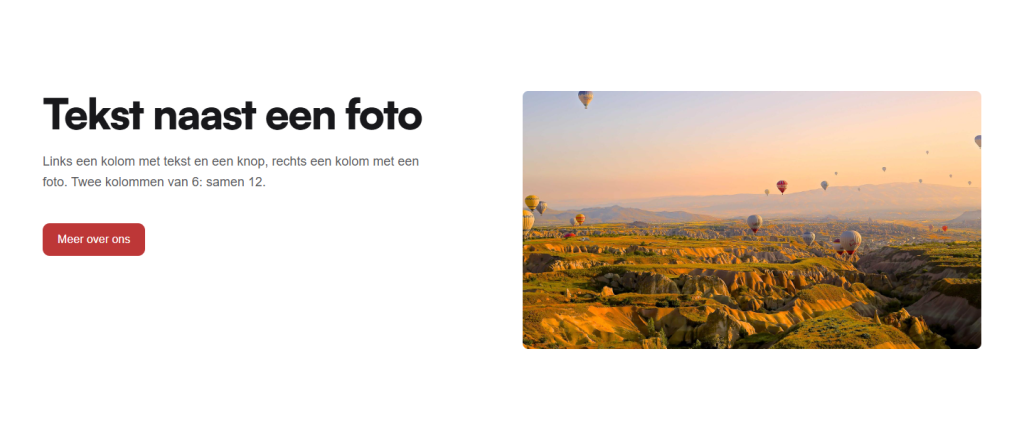 Een sectie met links een kop, tekst en een rode knop en rechts een foto van een landschap met luchtballonnen