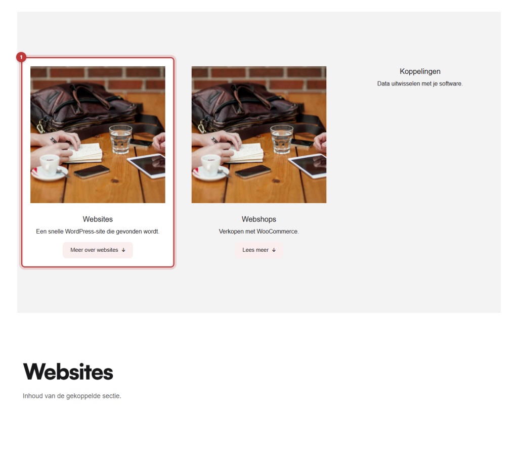 Drie tabs op de website, Websites, Webshops en Koppelingen, waarvan de actieve tab Websites rood omkaderd is, met daaronder de bijbehorende sectie